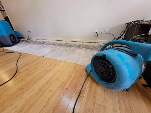 Professional Water Damage Repair technician working in Hope Valley, RI